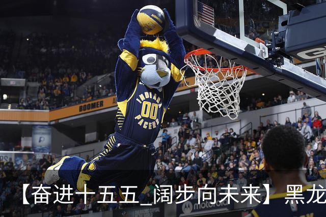 【奋进十五五 阔步向未来】黑龙江农机产业正加速迈向高端化智能化绿色化